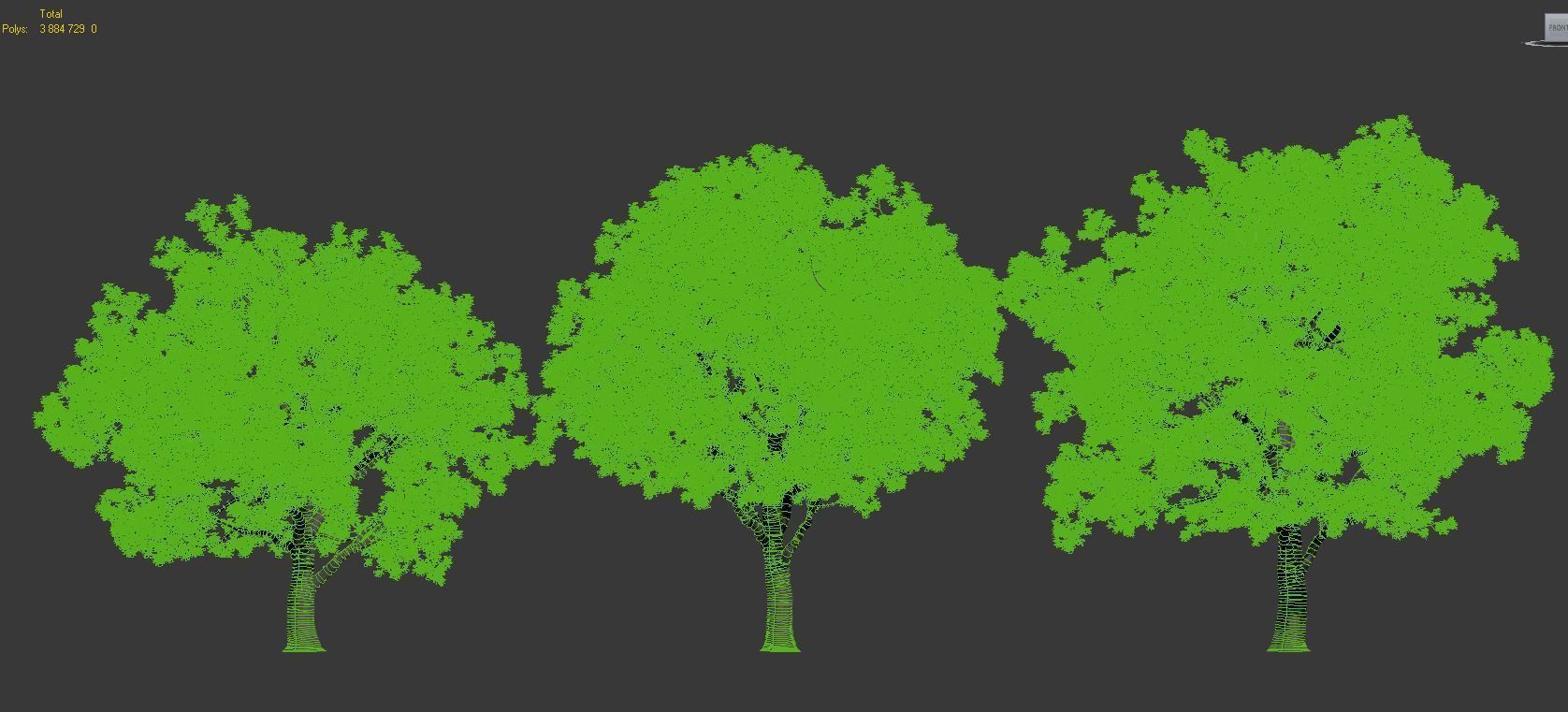 Common oak Nr7 H11-13m Three tree set 3D model_6