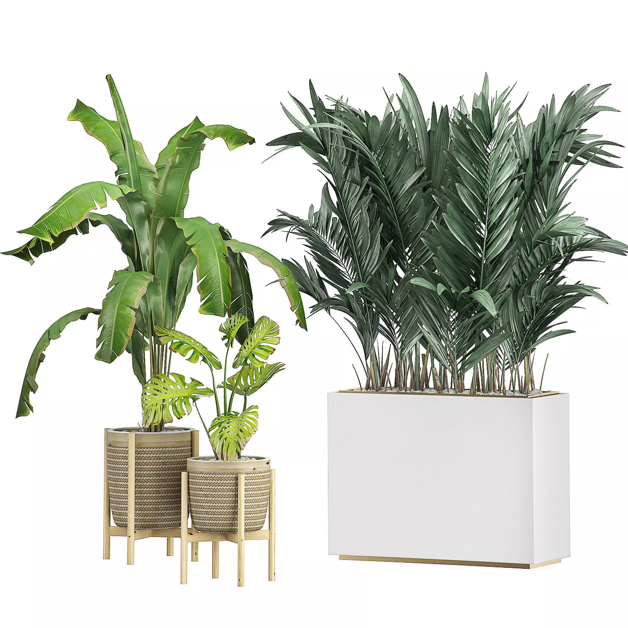 Flower Pack 107 3D model_0