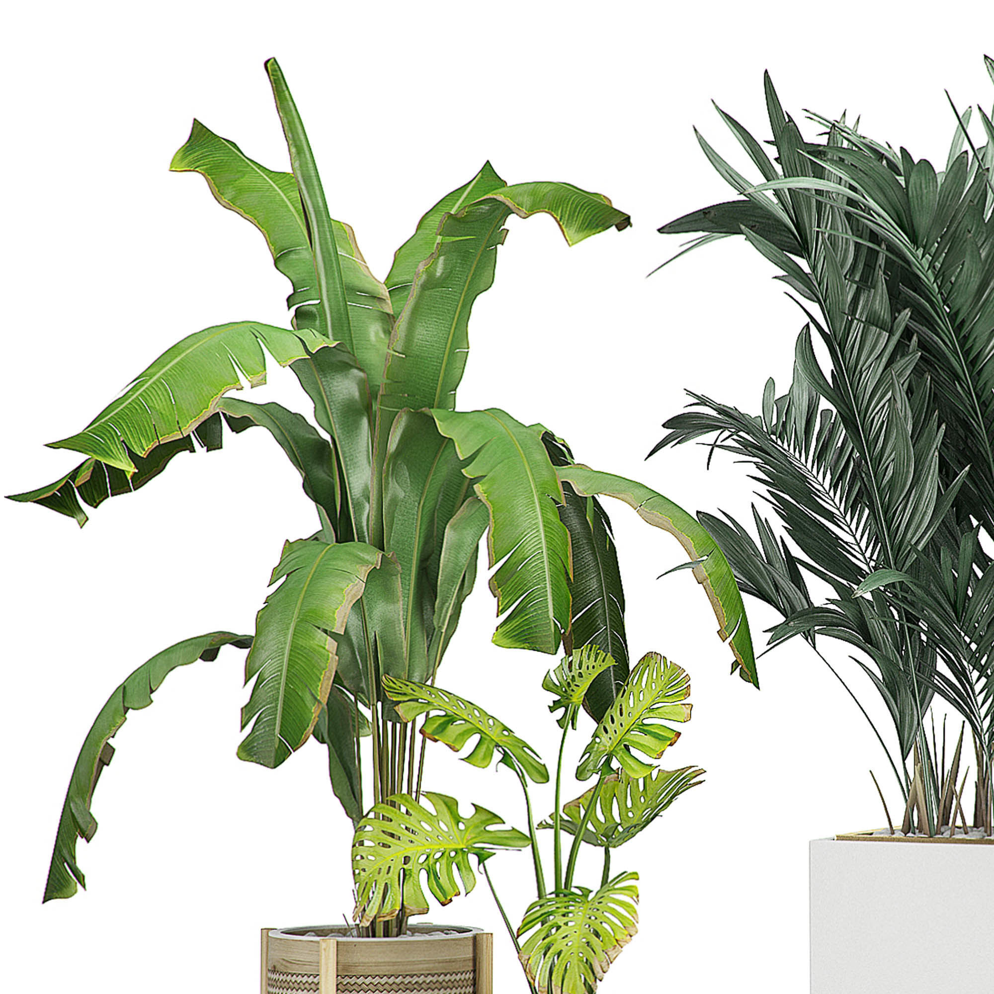 Flower Pack 107 3D model_2