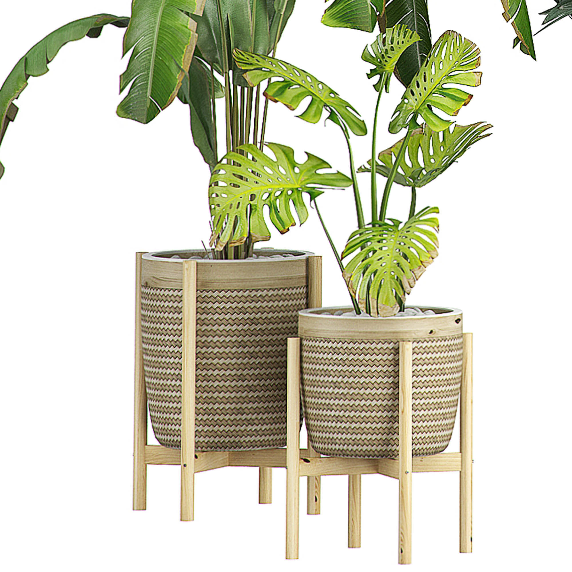 Flower Pack 107 3D model_1