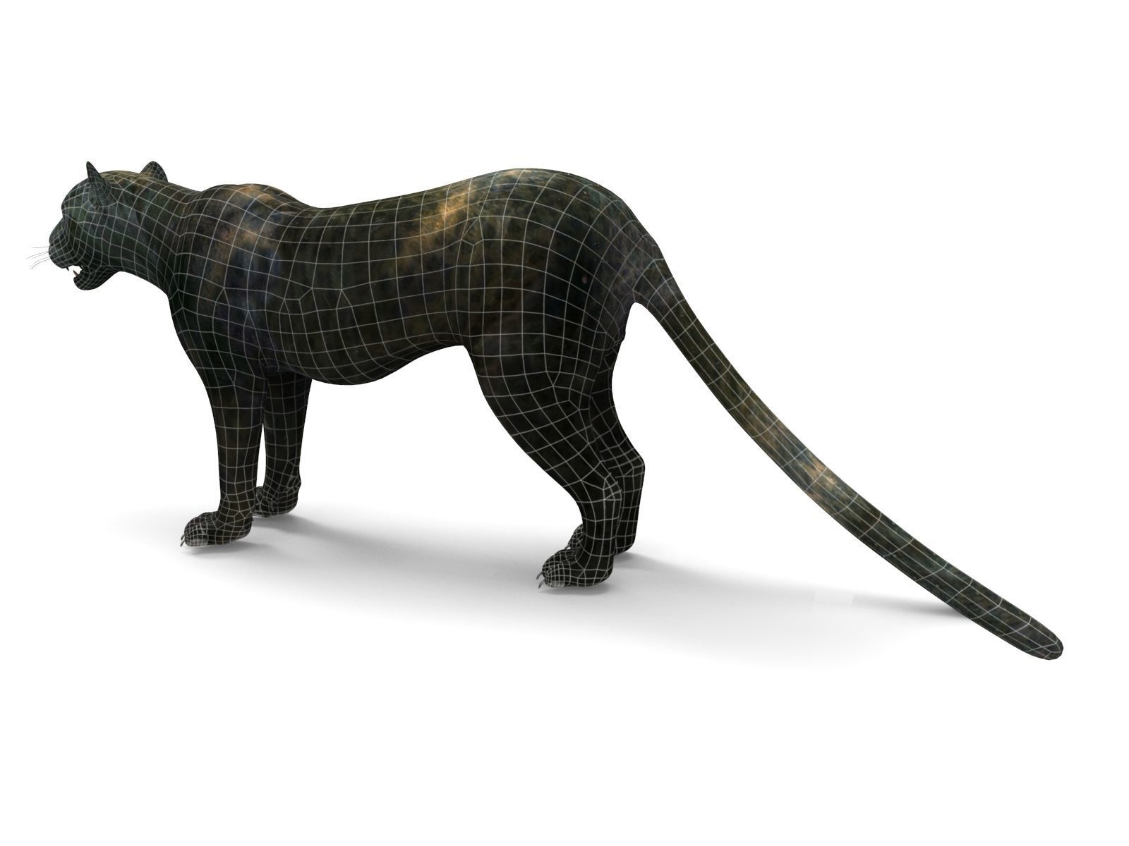 Black Panther Rigged And Animated Low-poly 3D model_22