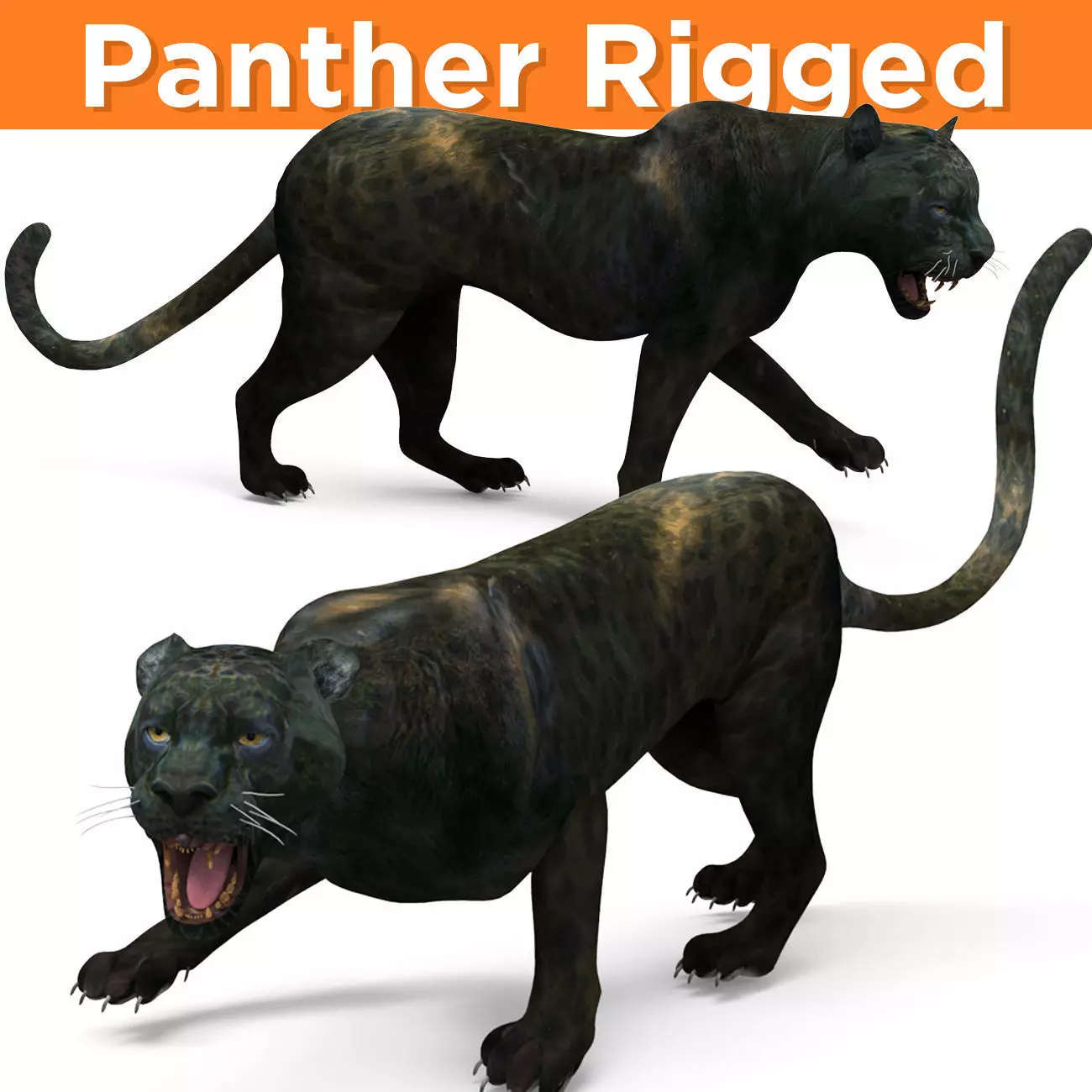 Black Panther Rigged And Animated Low-poly 3D model_0