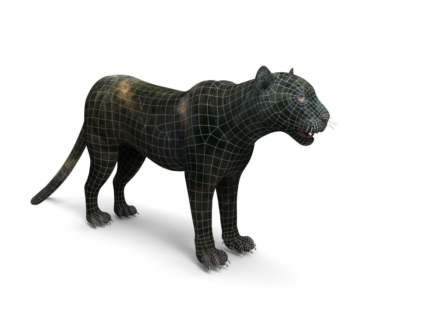 Black Panther Rigged And Animated Low-poly 3D model_20