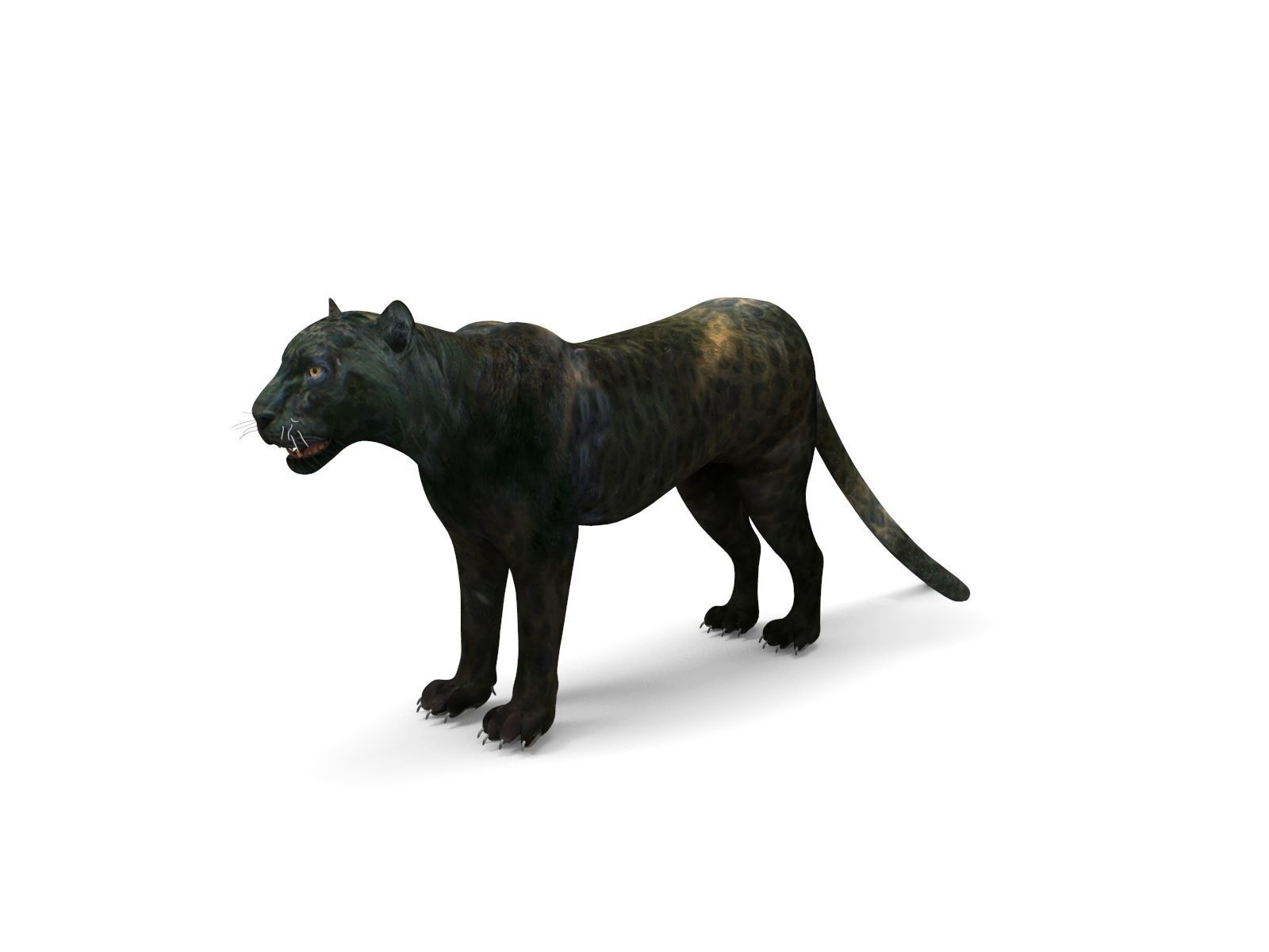 Black Panther Rigged And Animated Low-poly 3D model_18