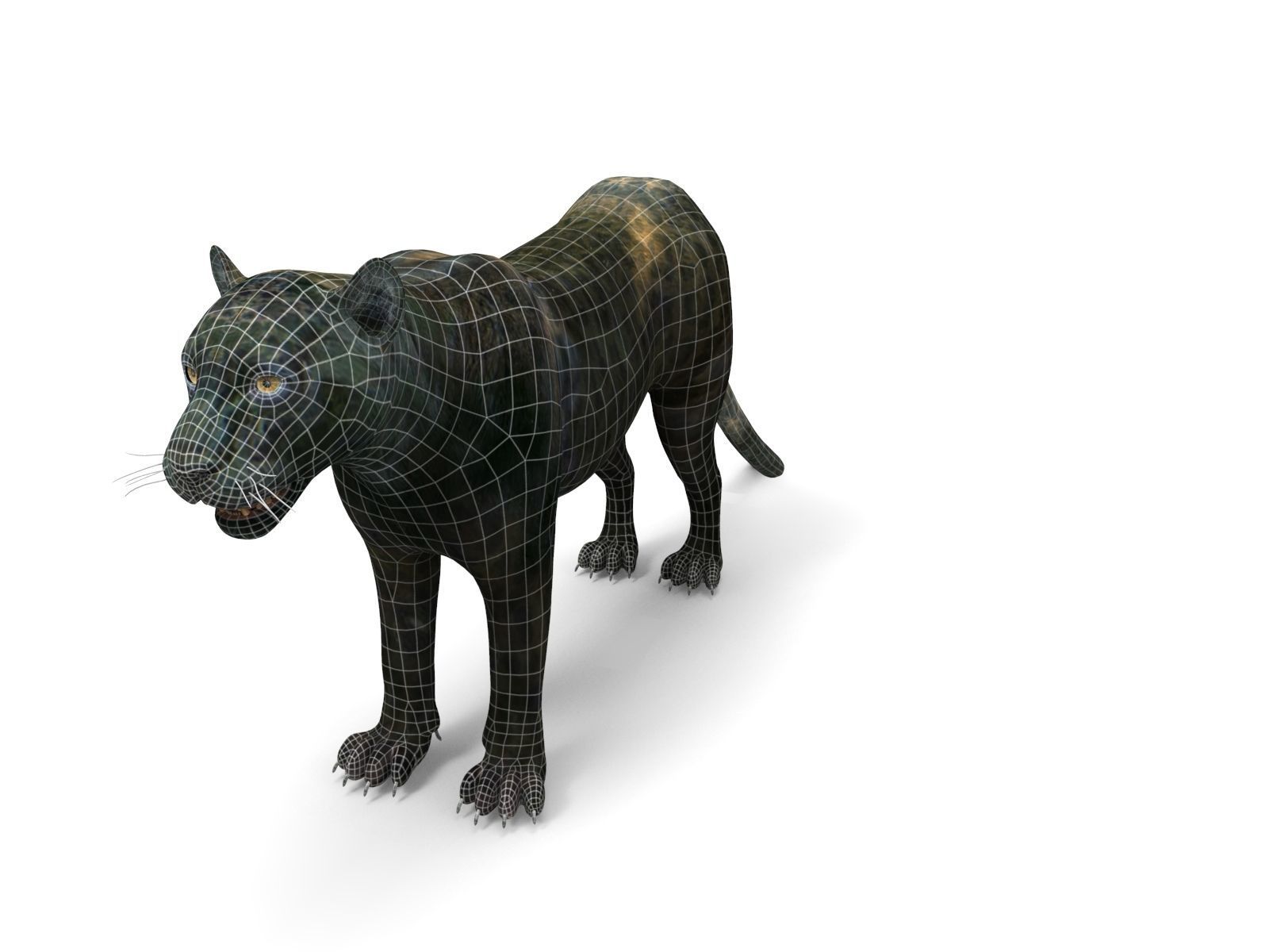 Black Panther Rigged And Animated Low-poly 3D model_21