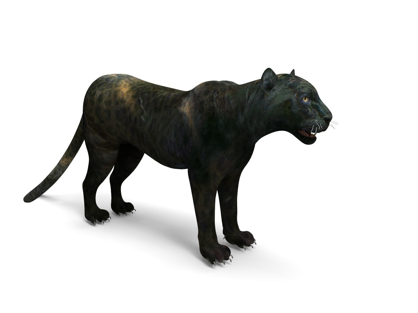 Black Panther Rigged And Animated Low-poly 3D model_19