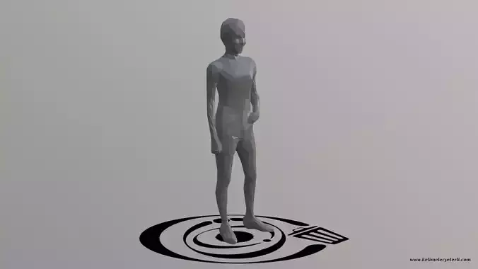 Human 013 LP R Low-poly 3D model