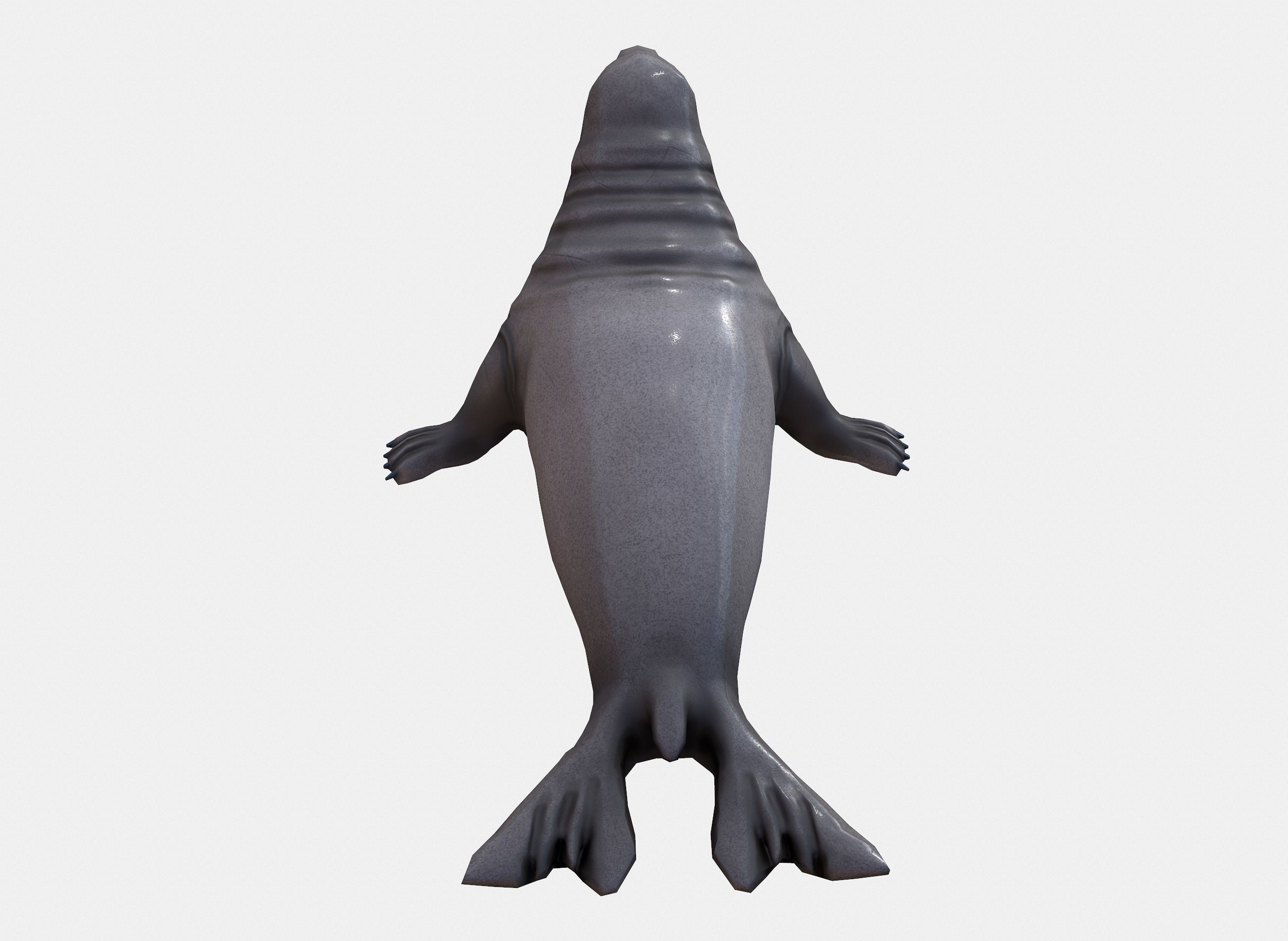 Elephant seal low poly Low-poly 3D model_4