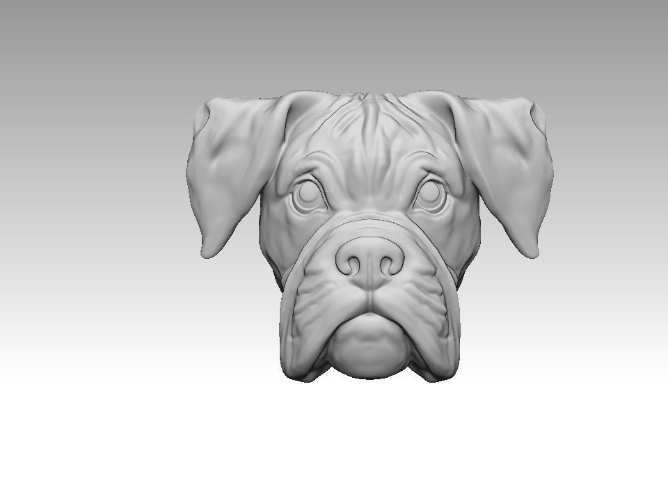Boxer dog bas relief for medaillon or pendant 3D print model 3D print model_2