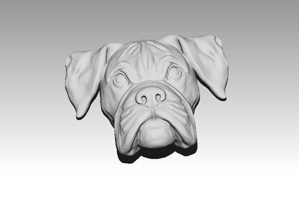 Boxer dog bas relief for medaillon or pendant 3D print model 3D print model_8