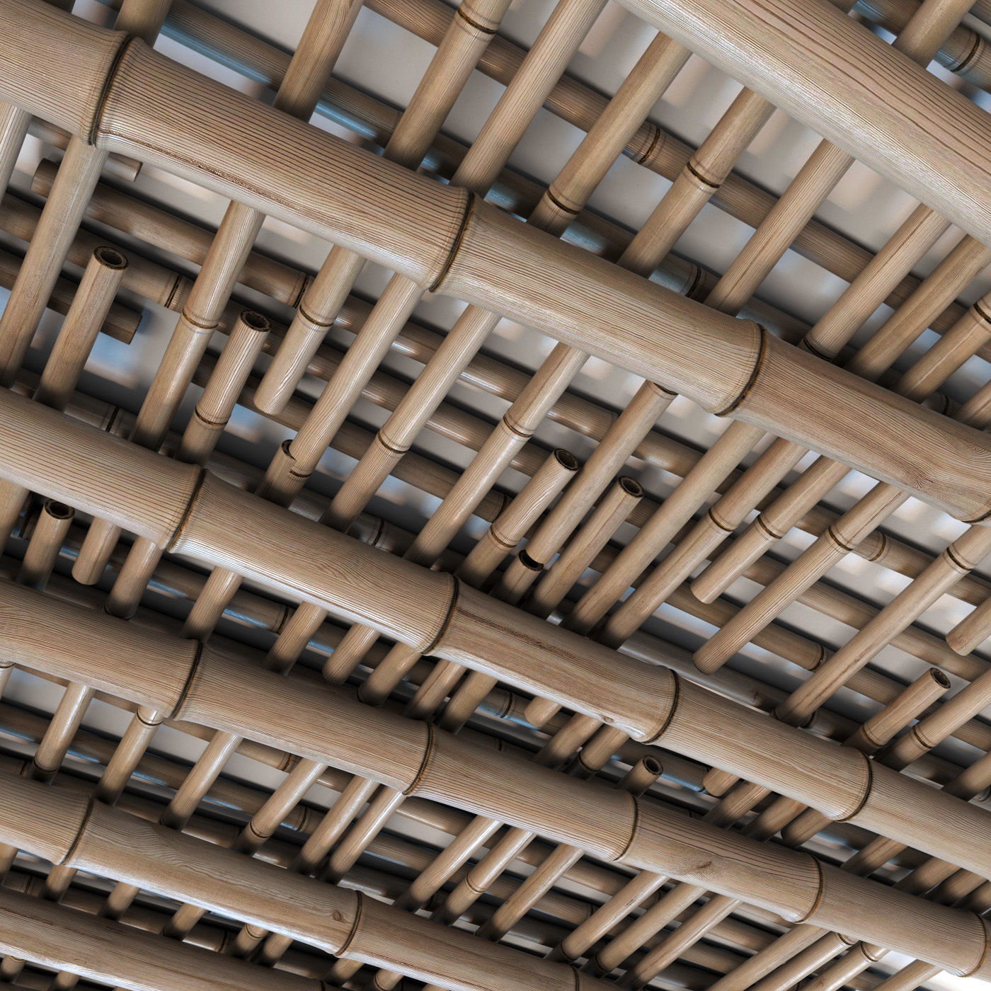 Bamboo ceiling long cage 3D model_13