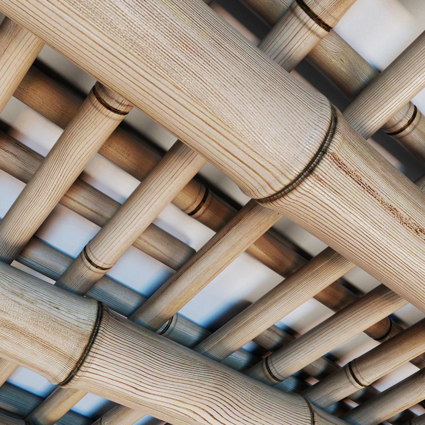 Bamboo ceiling long cage 3D model_4