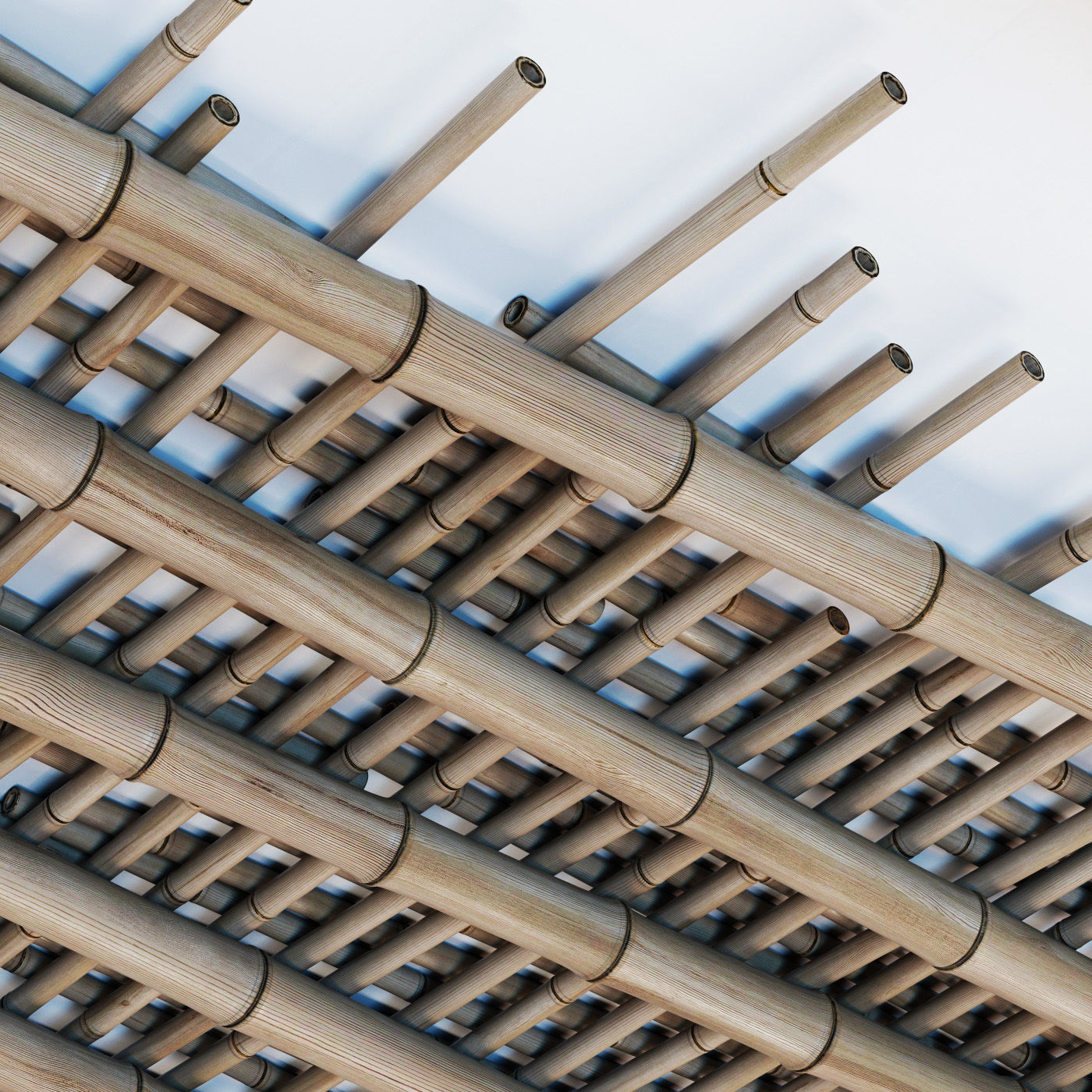 Bamboo ceiling long cage 3D model_10