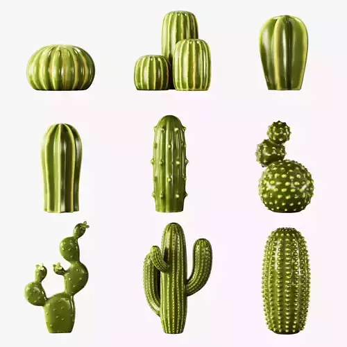 Ceramic cactus set