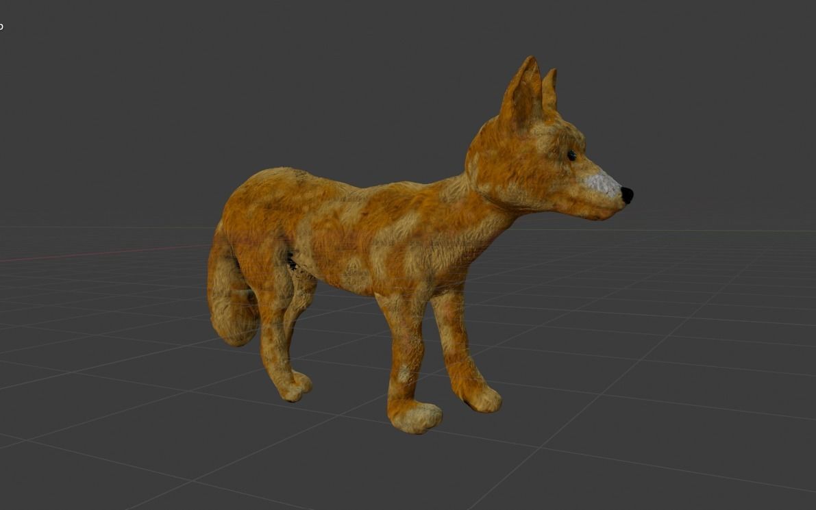 Coyote Puppy 3D model_1