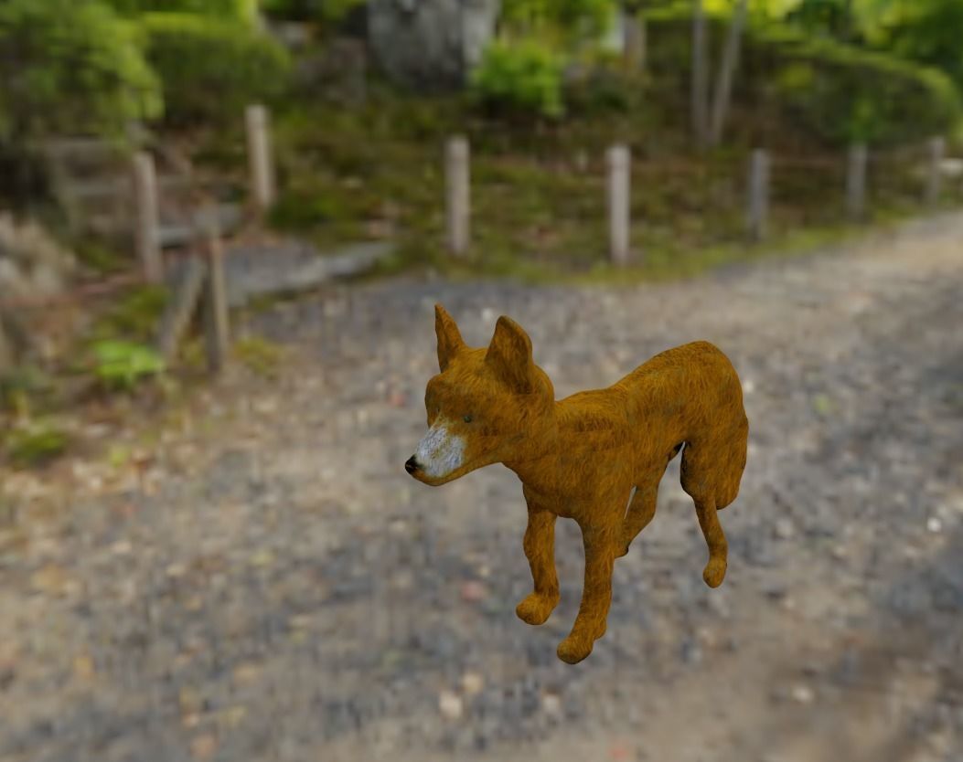 Coyote Puppy 3D model_2