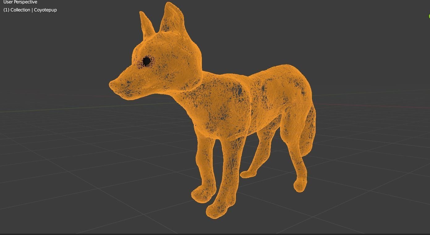 Coyote Puppy 3D model_3