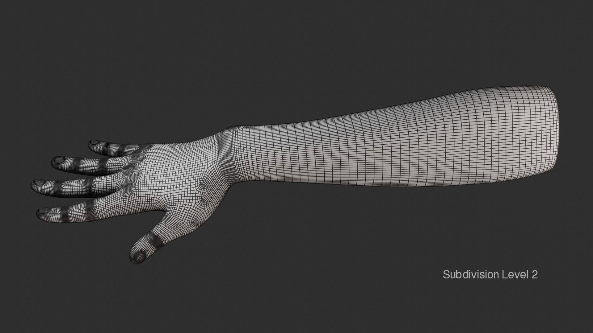 Female Right Hand Rigged Low-poly 3D model_32