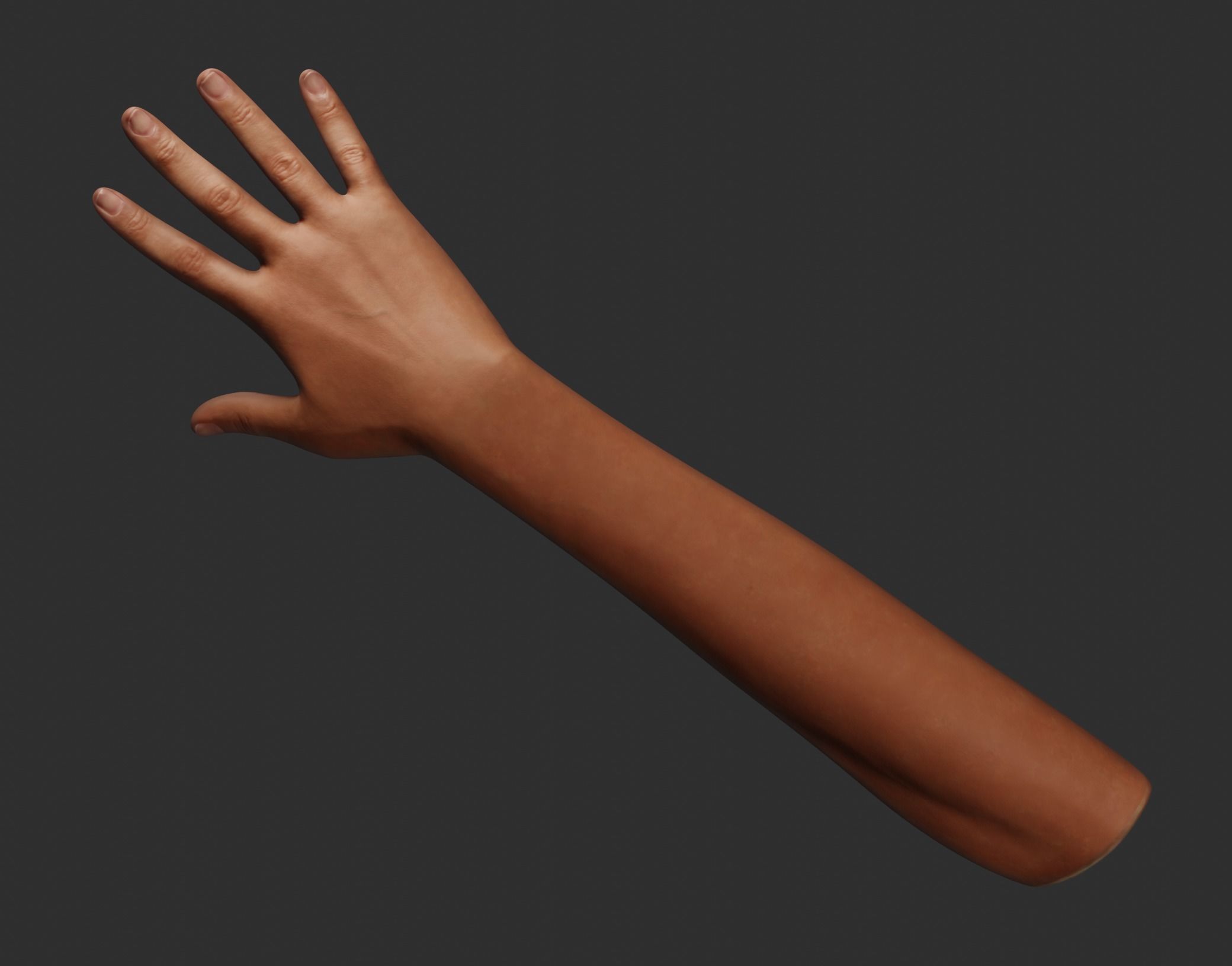 Female Right Hand Rigged Low-poly 3D model_13