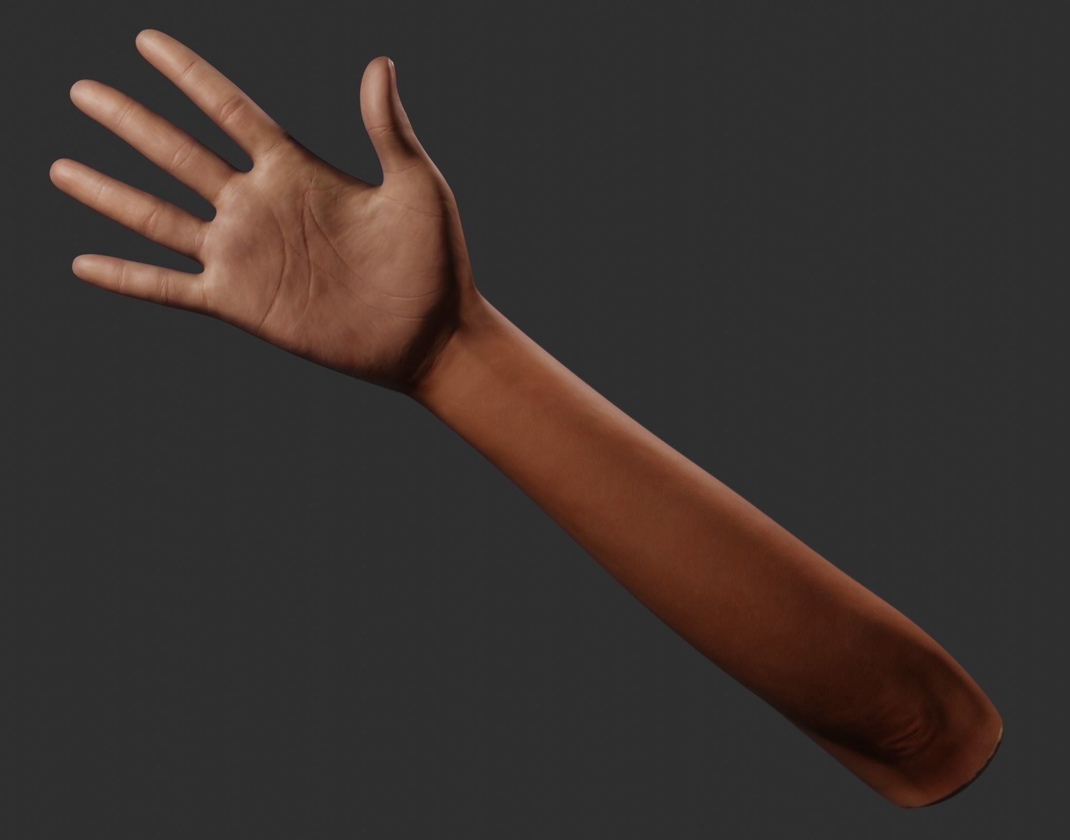 Female Right Hand Rigged Low-poly 3D model_17