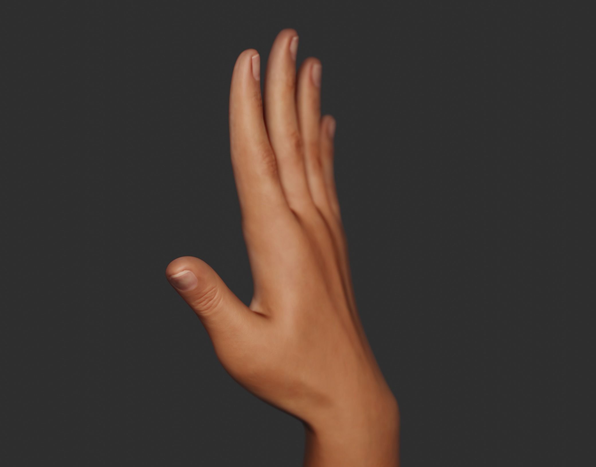 Female Right Hand Rigged Low-poly 3D model_21