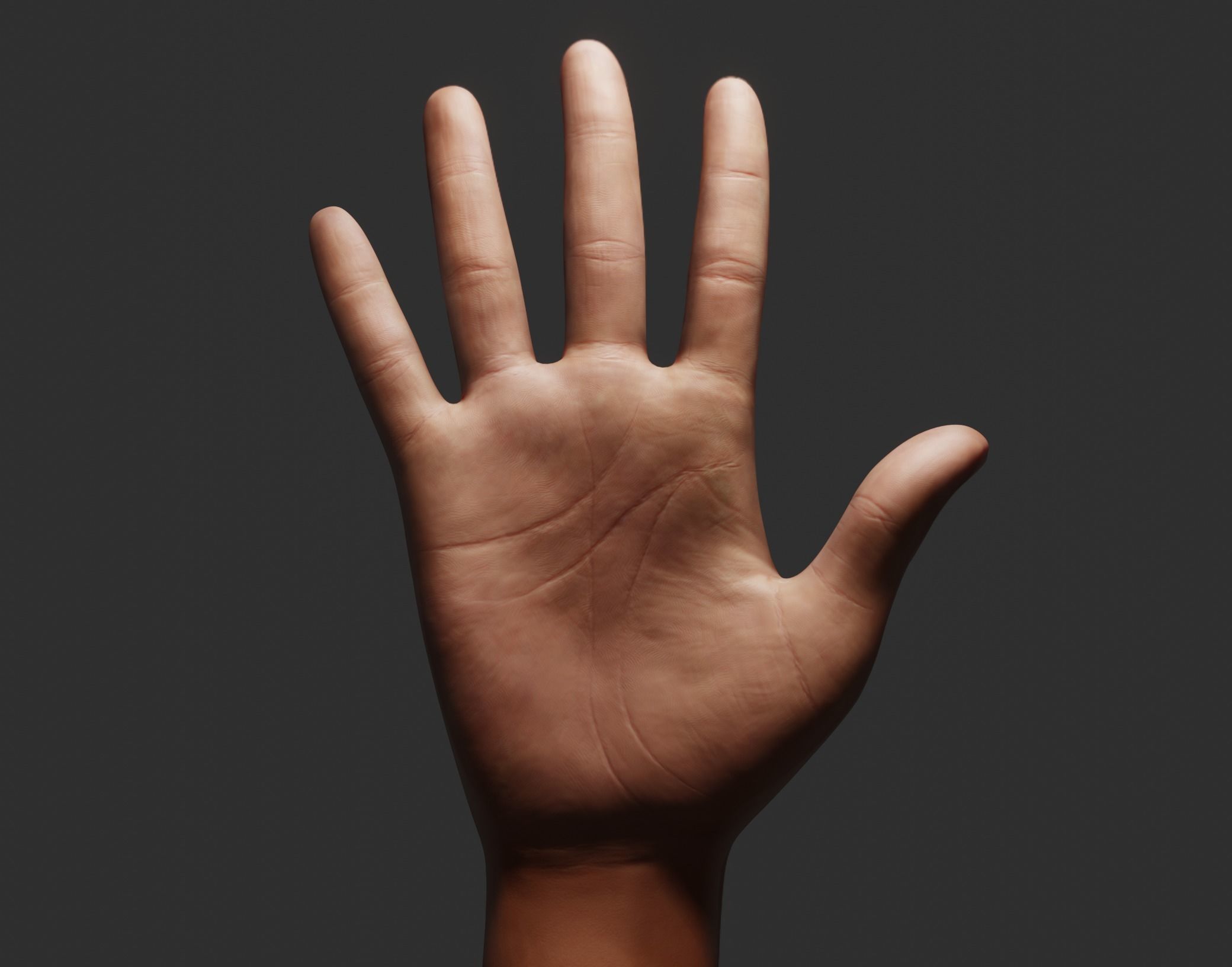 Female Right Hand Rigged Low-poly 3D model_8
