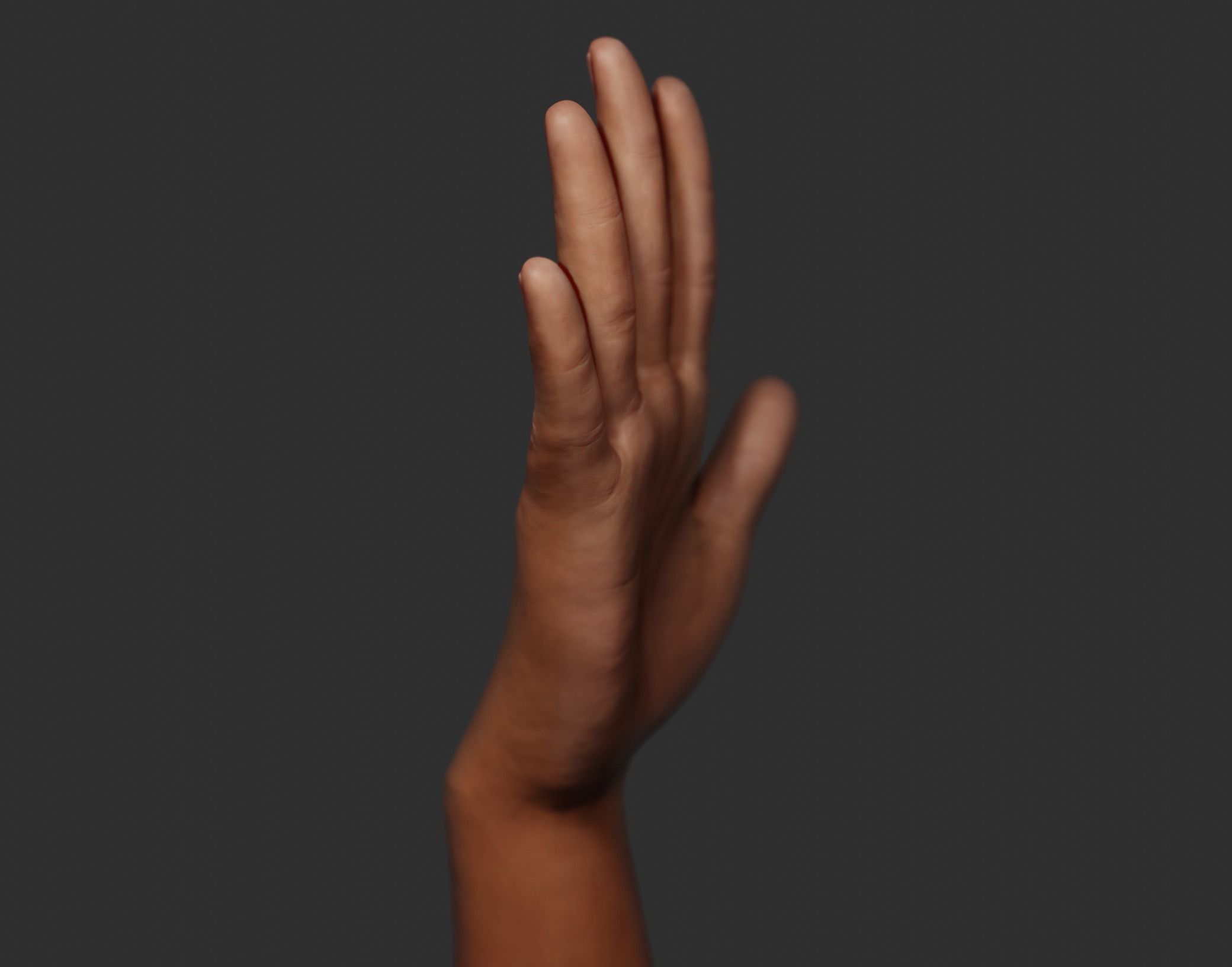 Female Right Hand Rigged Low-poly 3D model_20