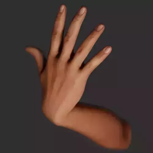 Female Right Hand Rigged 3D model