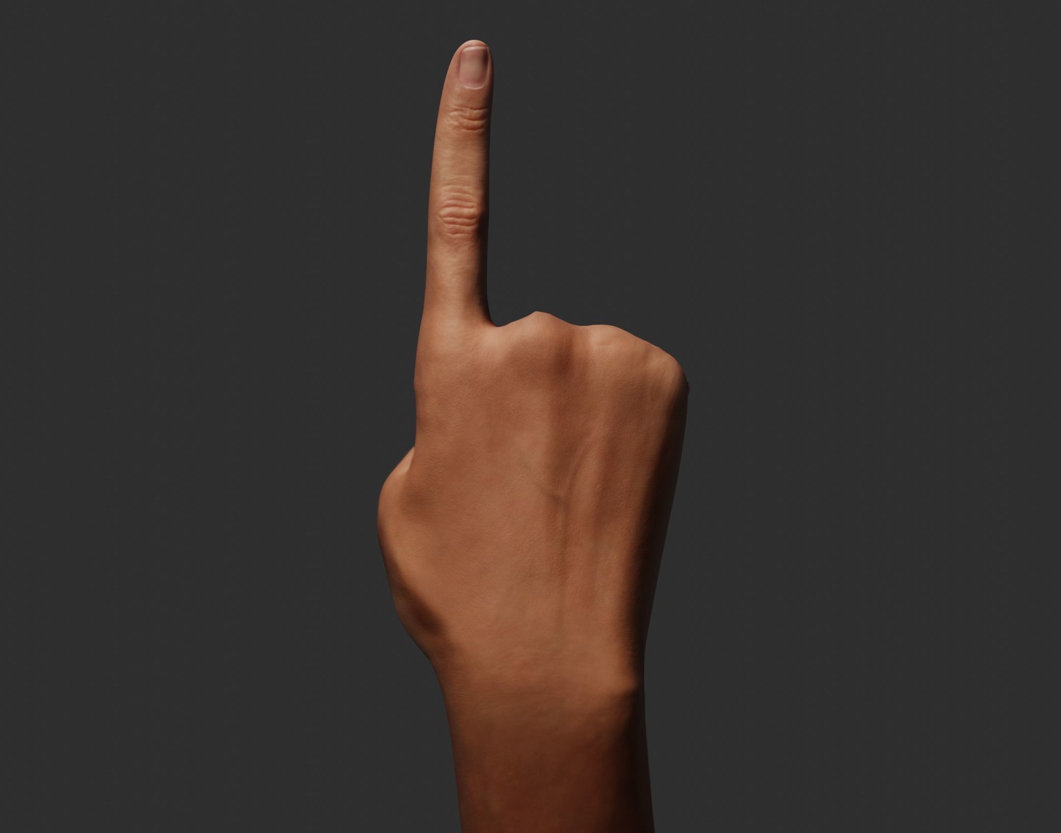 Female Right Hand Rigged Low-poly 3D model_6