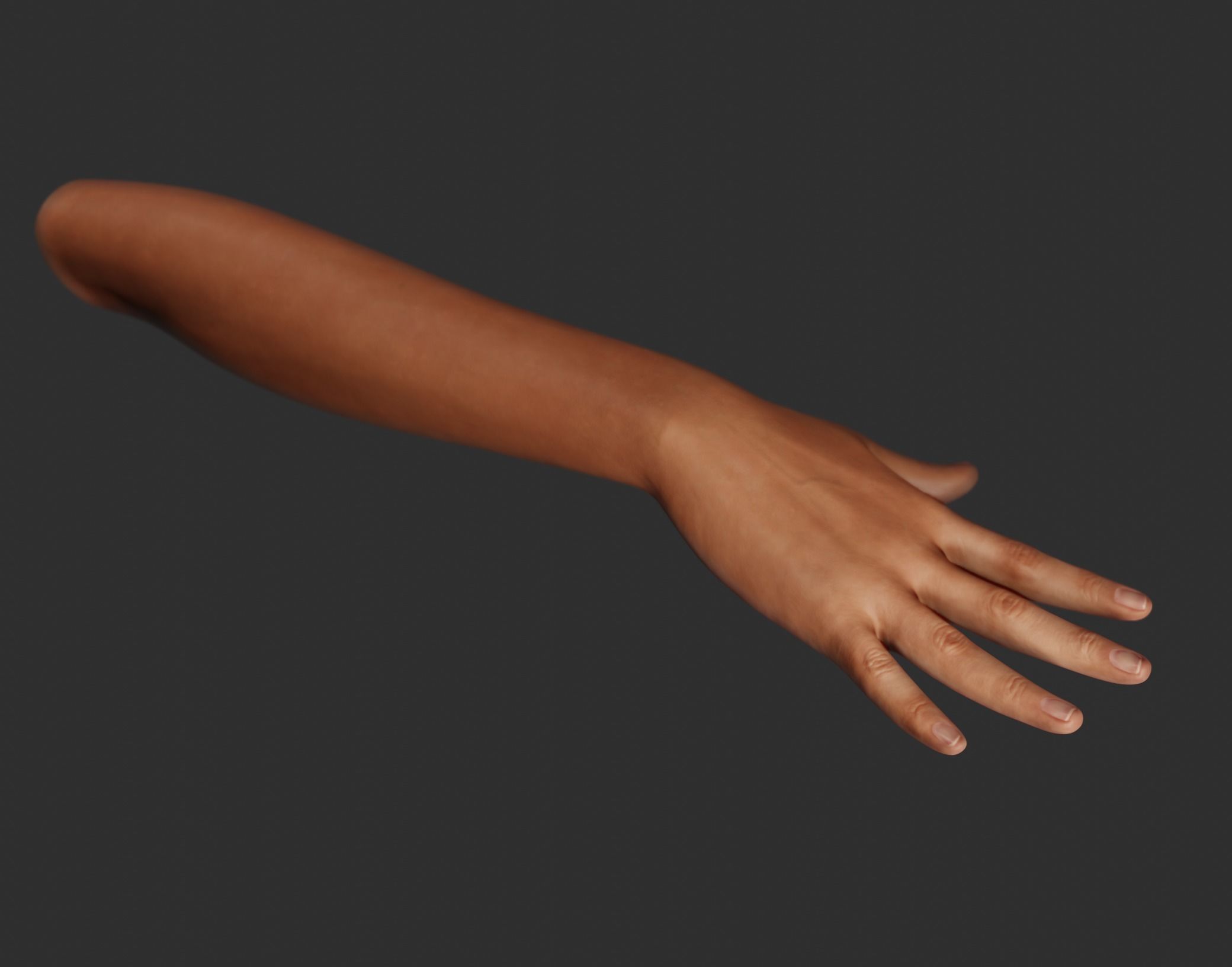 Female Right Hand Rigged Low-poly 3D model_14