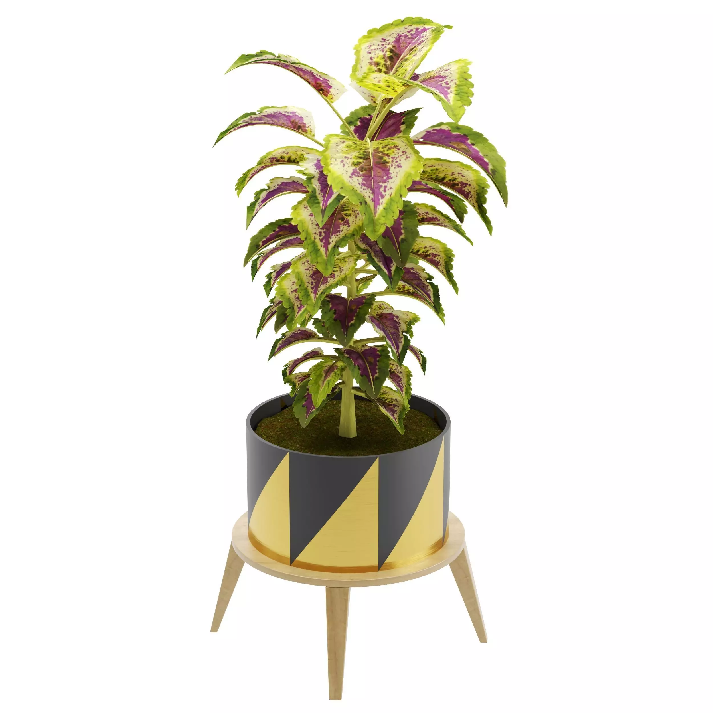 plant collection 02 3D model_0