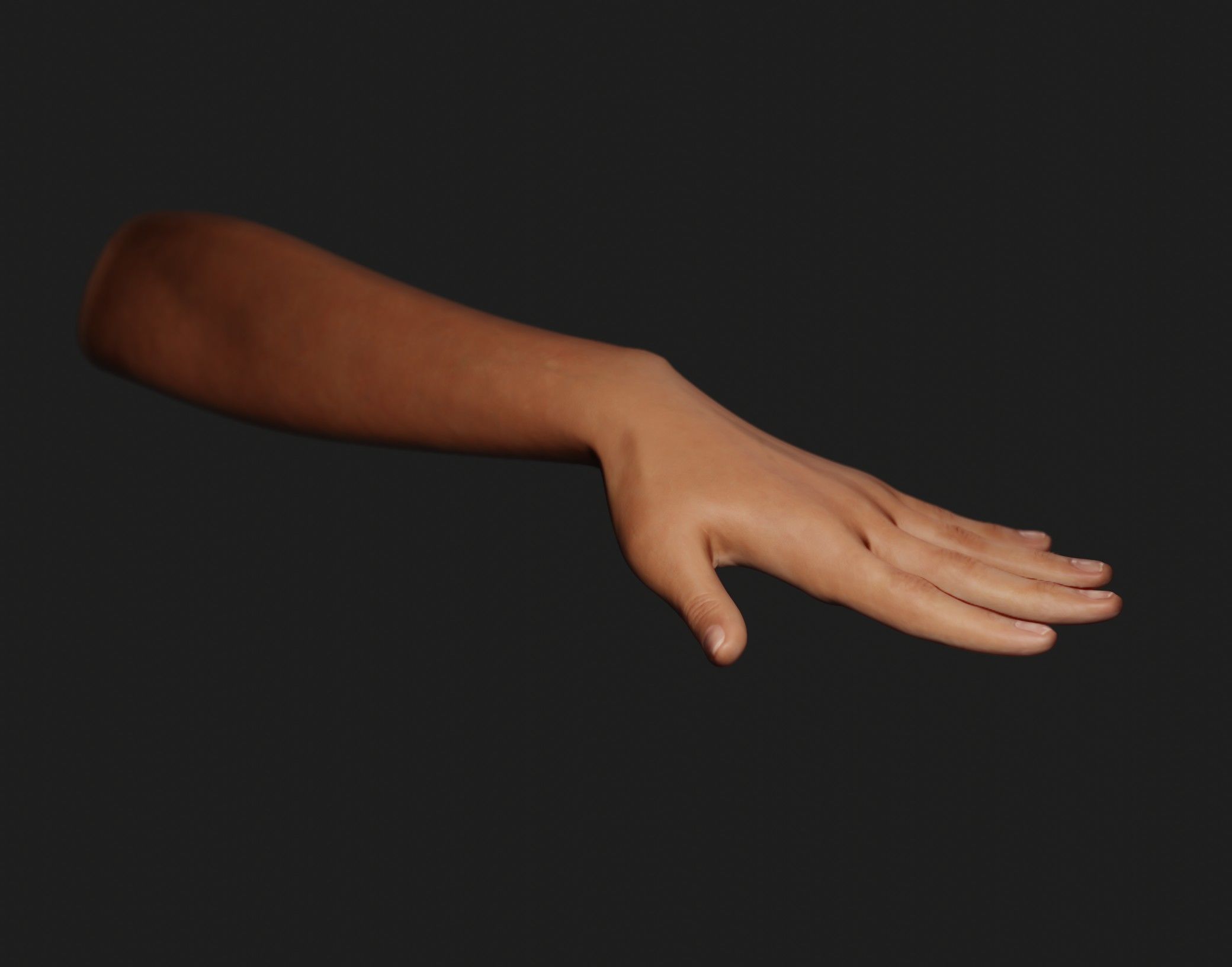 Female Left Hand 3D model_5