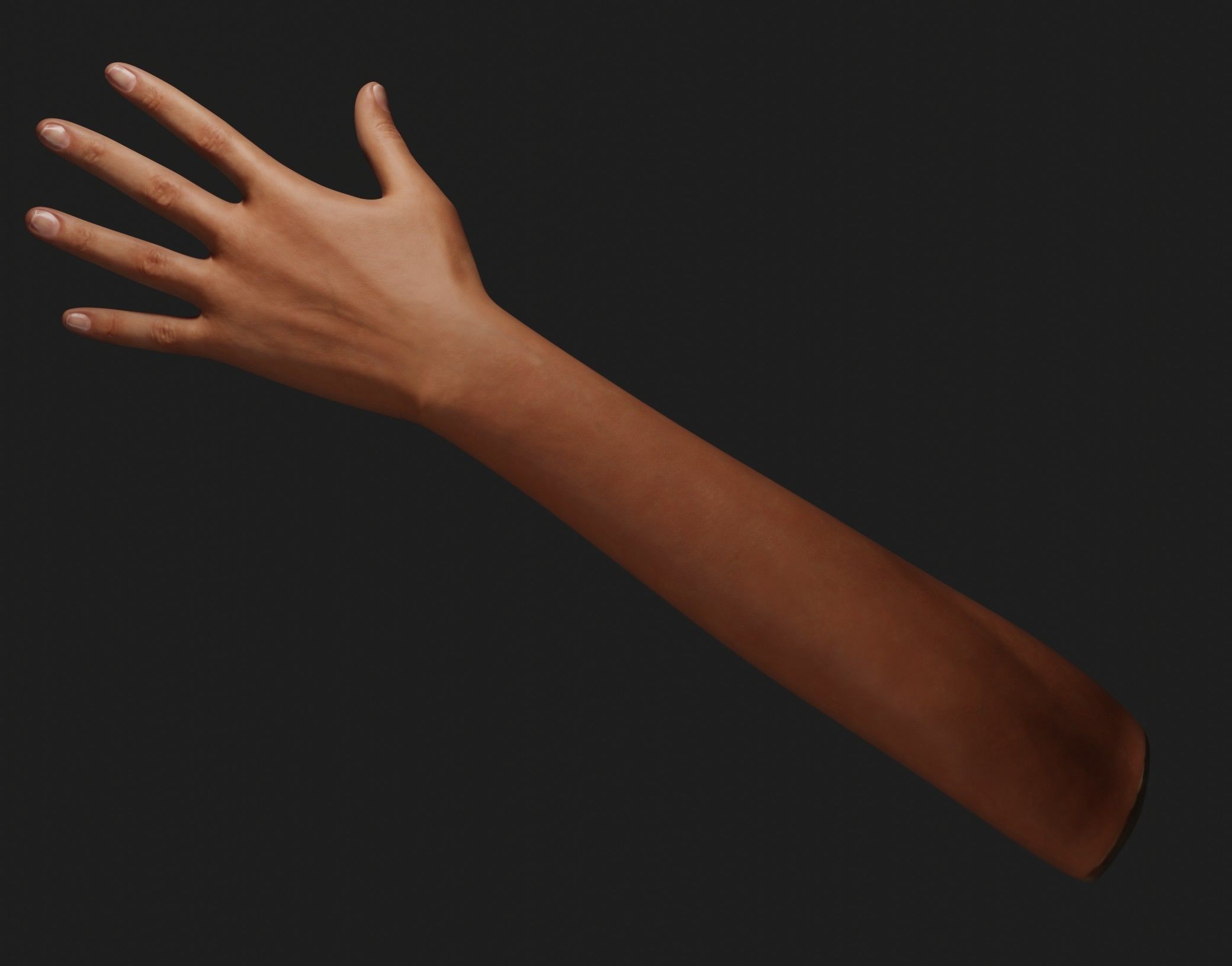 Female Left Hand 3D model_3