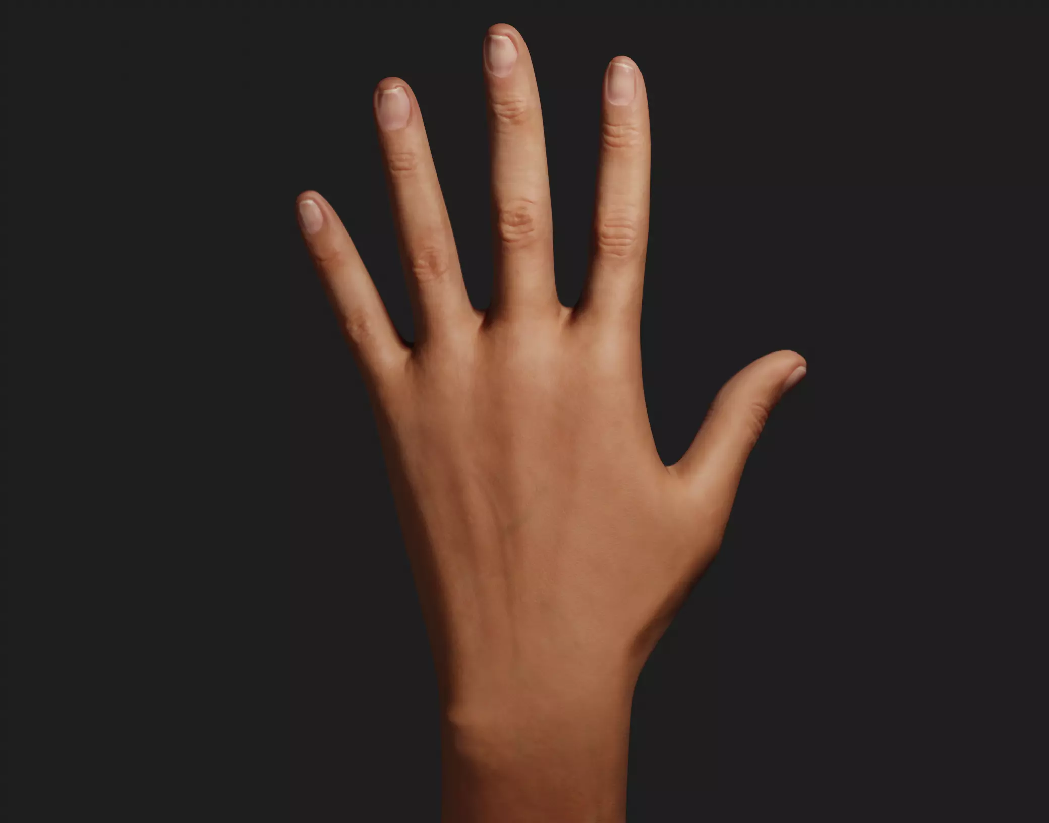 Female Left Hand 3D model_0