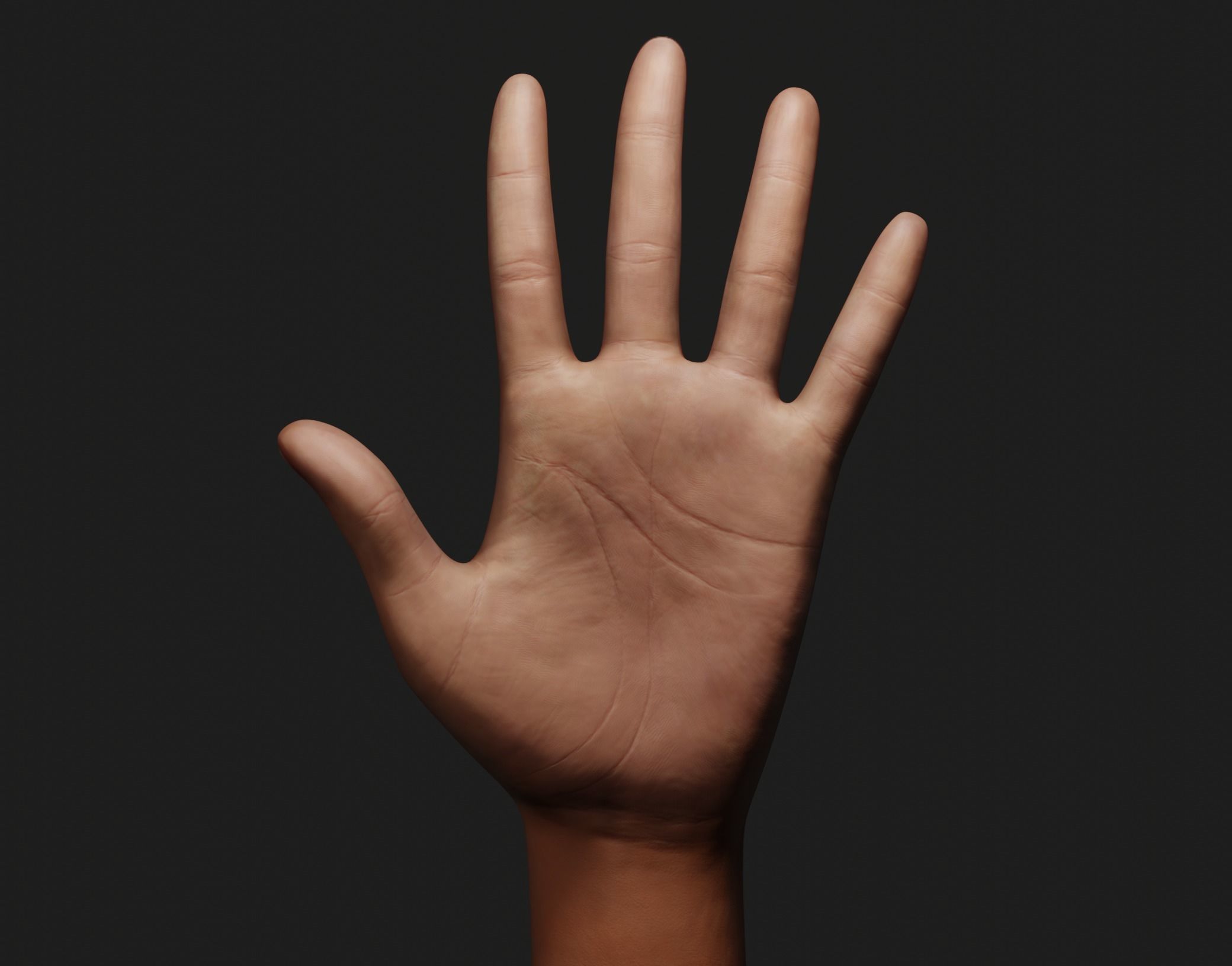 Female Left Hand 3D model_1