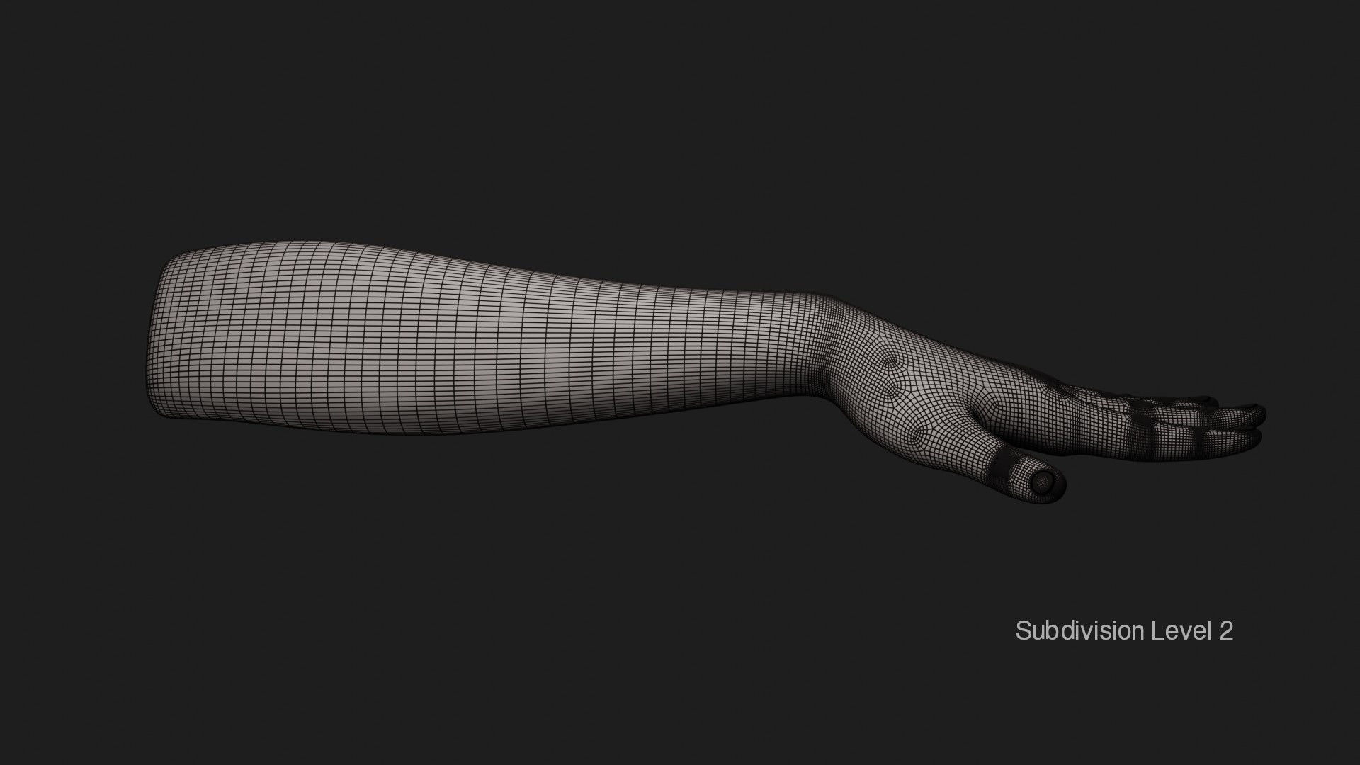 Female Left Hand 3D model_16