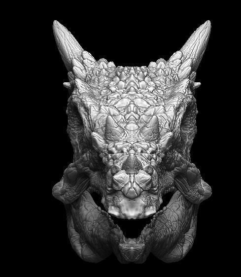 Dracorex Skull 3D model_2