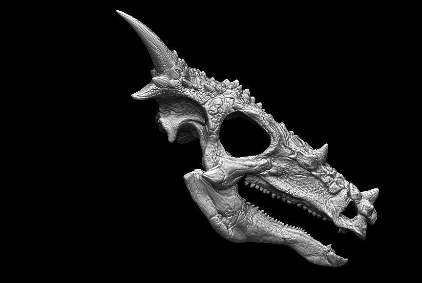 Dracorex Skull 3D model_7