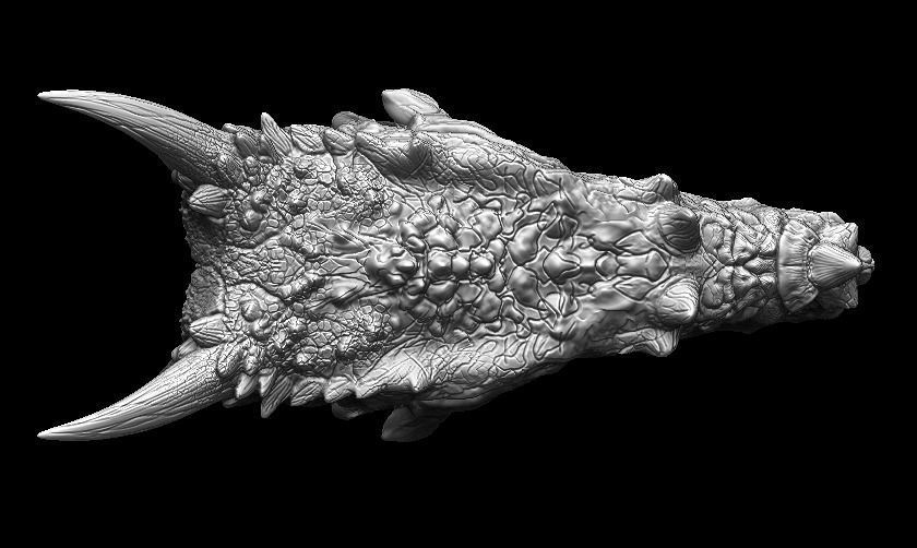 Dracorex Skull 3D model_3