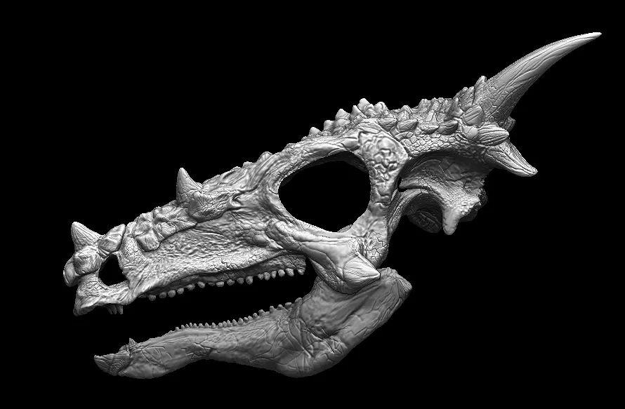 Dracorex Skull 3D model_0