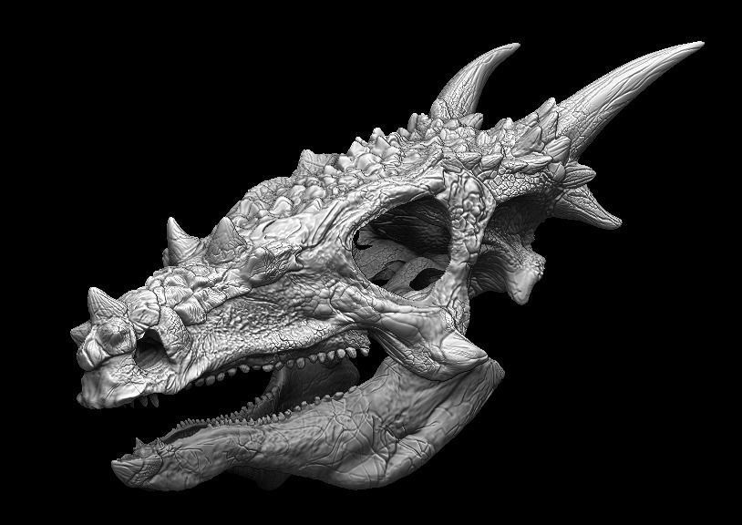 Dracorex Skull 3D model_1