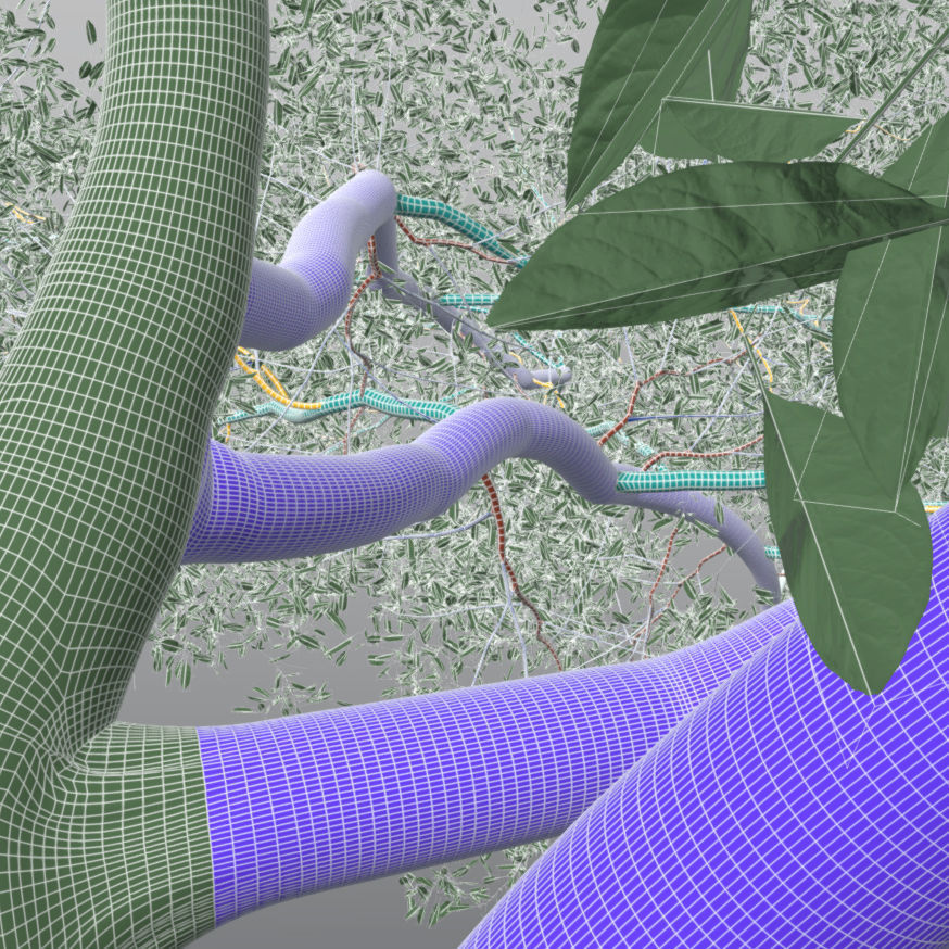 Live Oak - Variation A 3D model_5