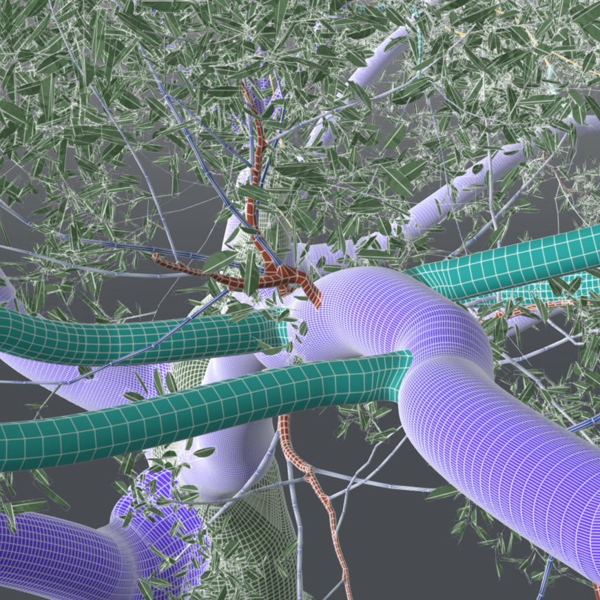 Live Oak - Variation A 3D model_9