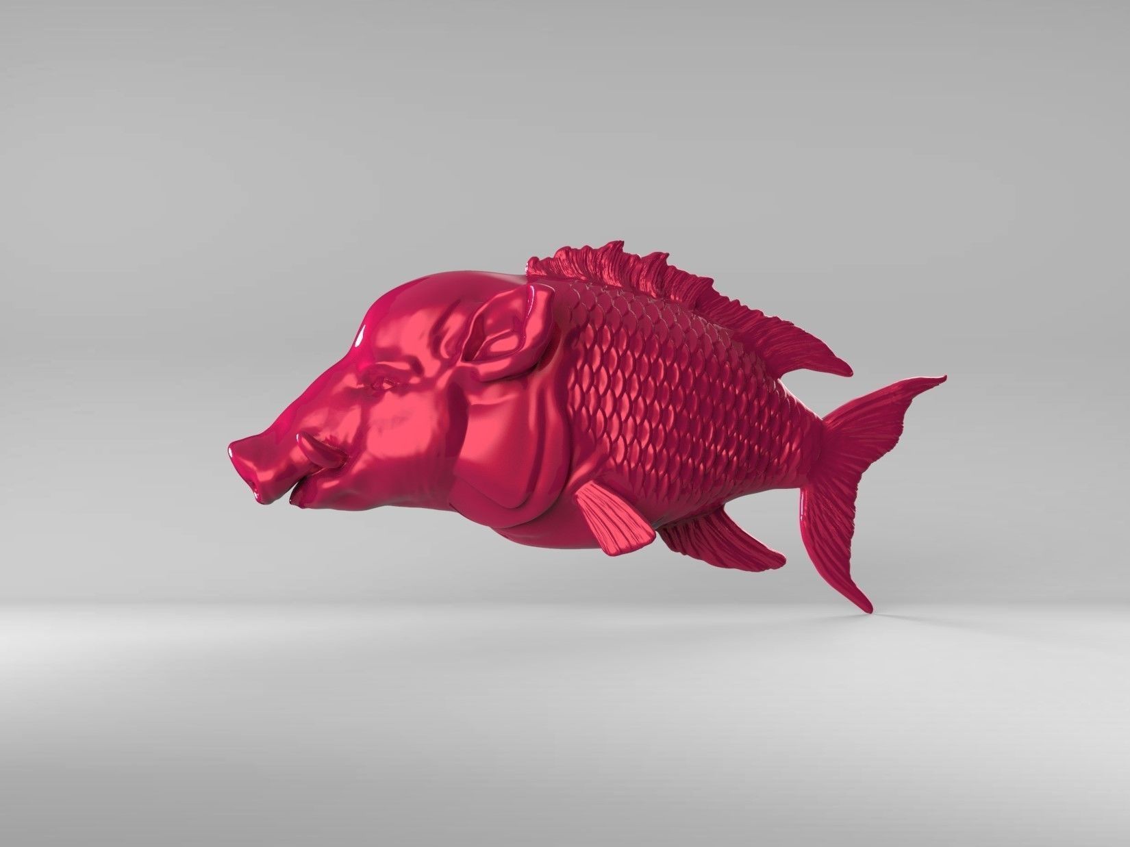 Hogfish Ocean Bacon 3D print model_8