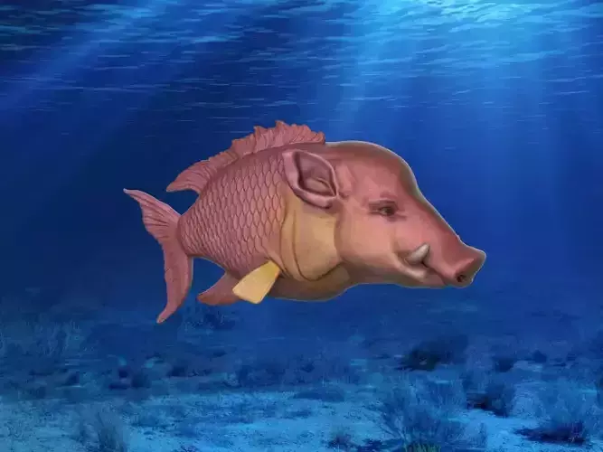 Hogfish Ocean Bacon 3D print model
