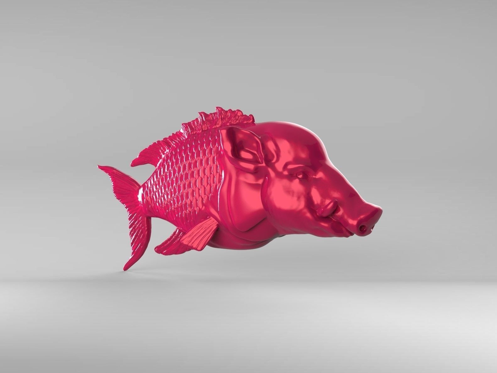 Hogfish Ocean Bacon 3D print model_11