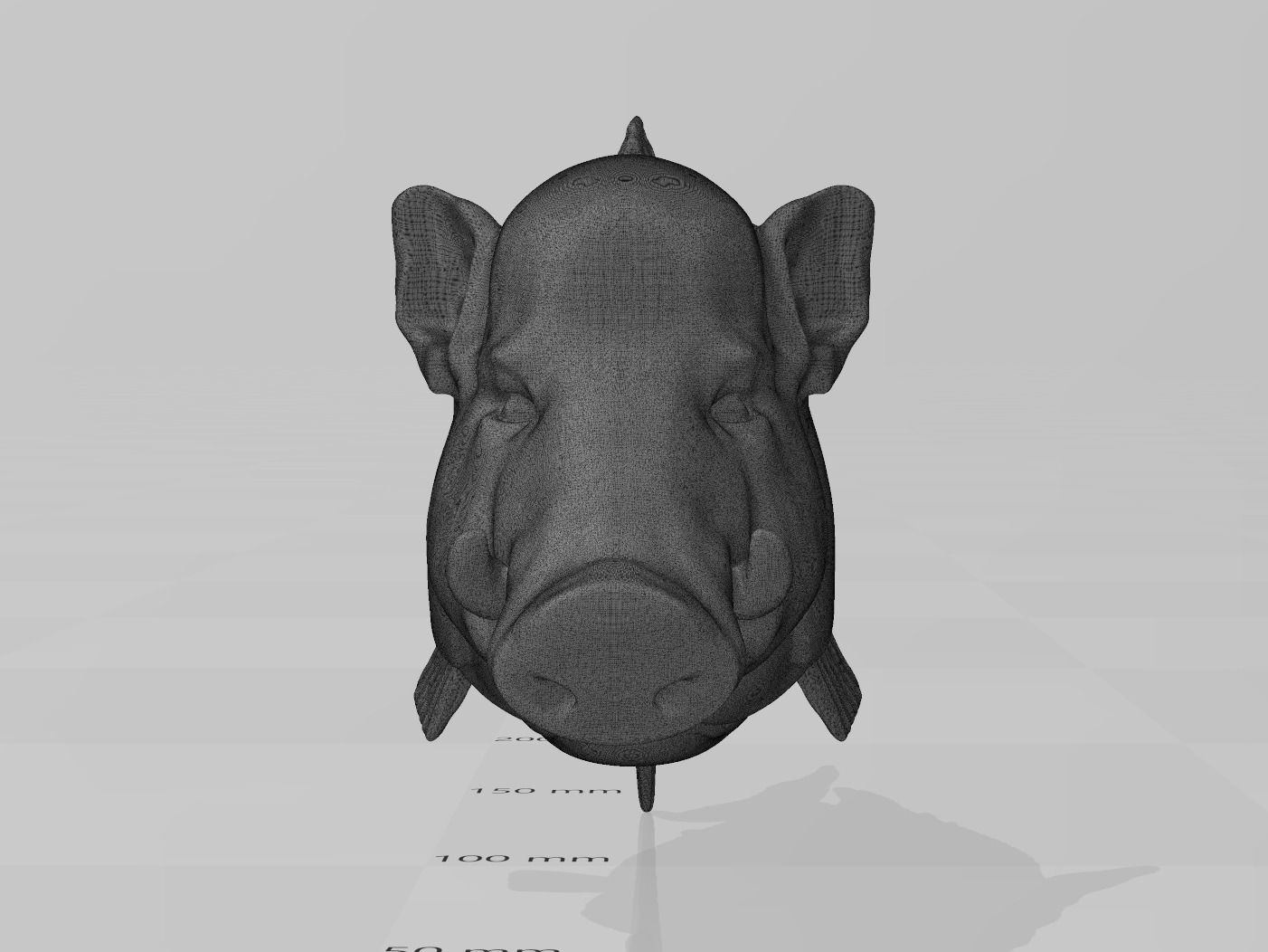 Hogfish Ocean Bacon 3D print model_12