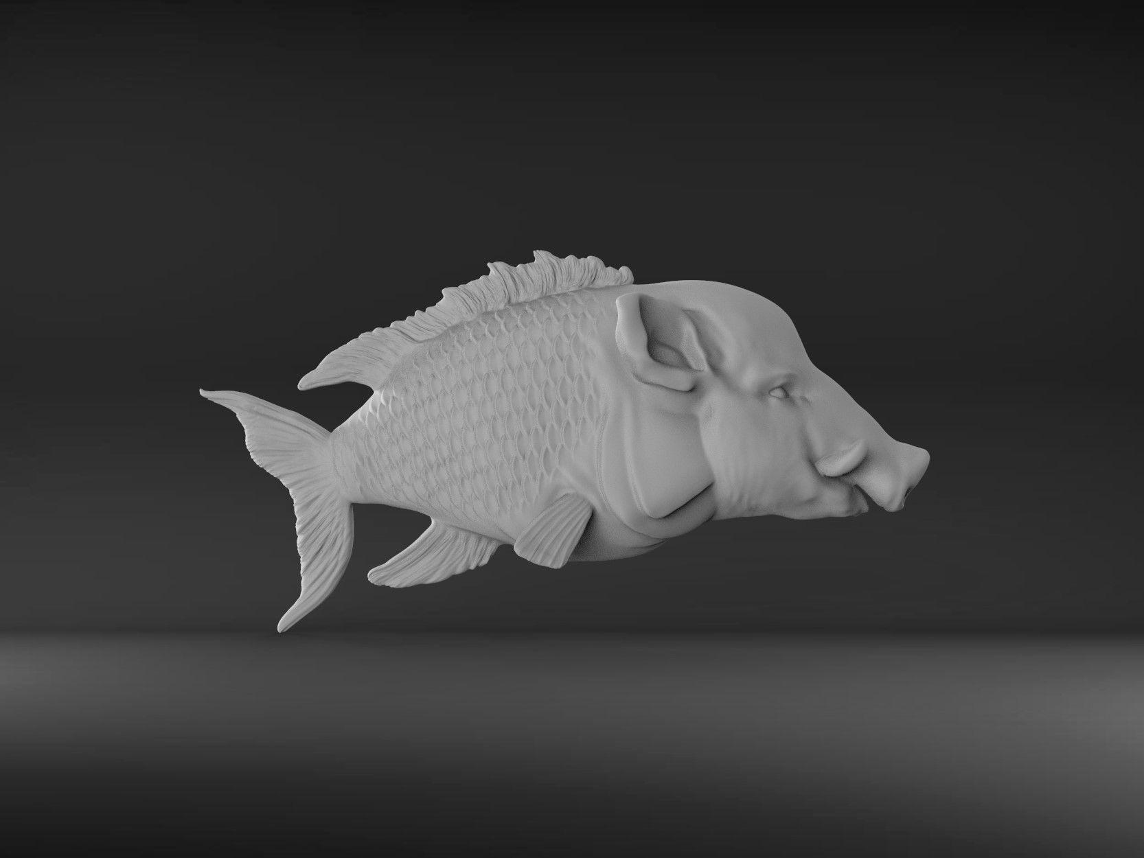Hogfish Ocean Bacon 3D print model_6