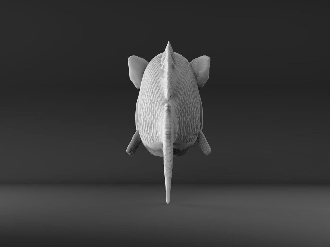 Hogfish Ocean Bacon 3D print model_7