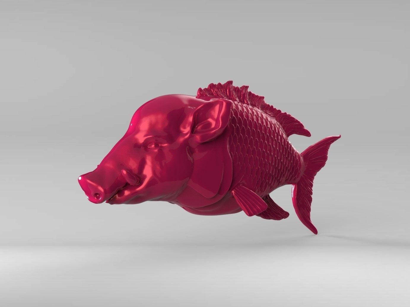 Hogfish Ocean Bacon 3D print model_10